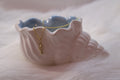 Espina de Mar Necklace